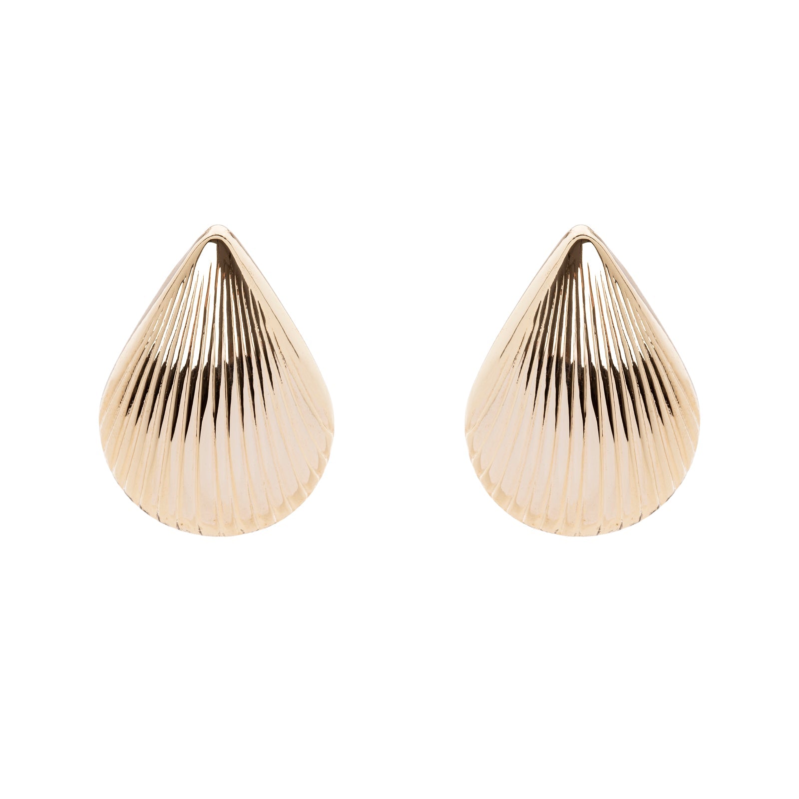 Sea shell earrings Amaranta - Gold - Sodini Bijoux