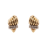 Orecchini lumachina di mare Maresia - Oro - Sodini Bijoux