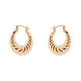 Orecchini a cerchio conchiglia Domus - Oro - Sodini Bijoux