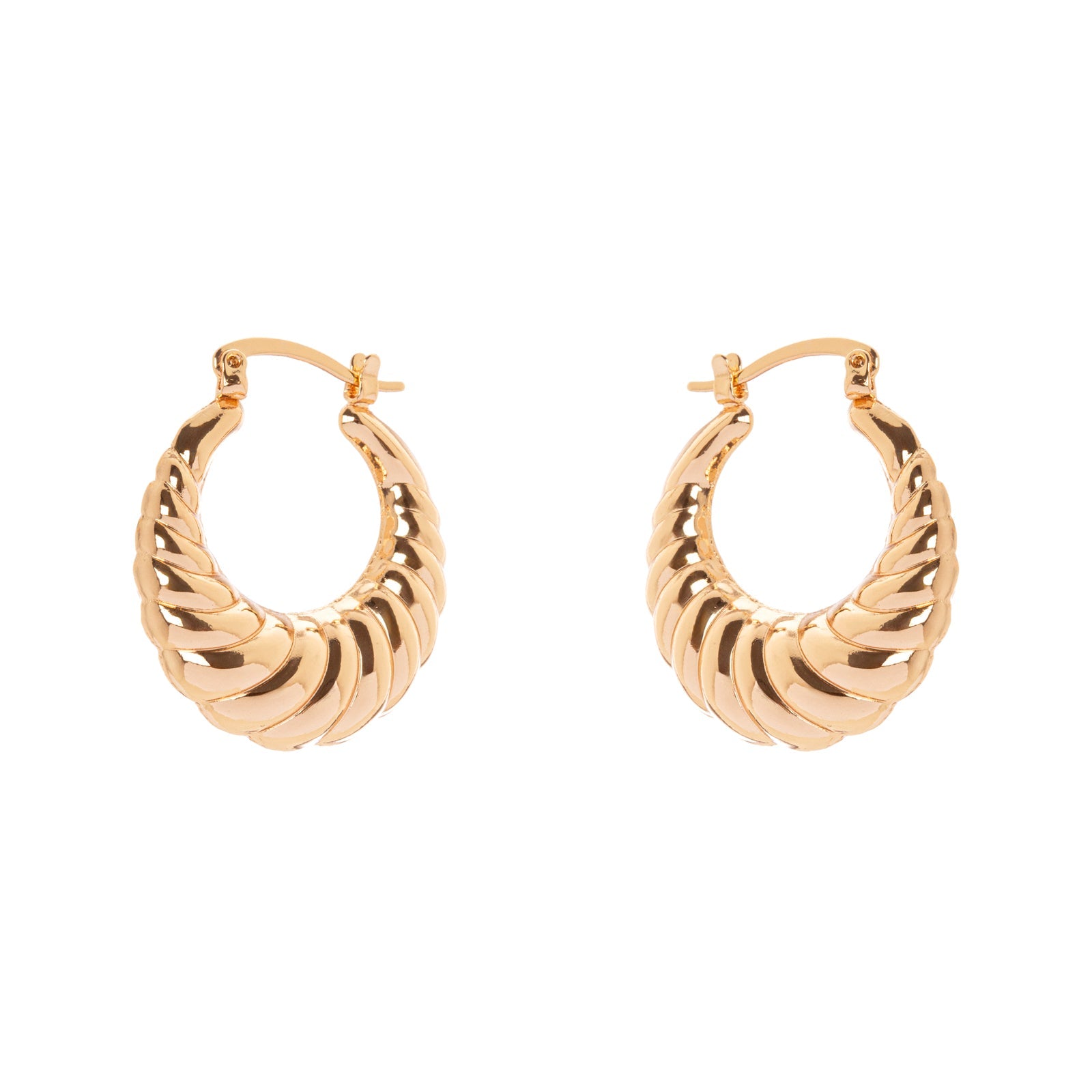 Orecchini a cerchio conchiglia Domus - Oro - Sodini Bijoux
